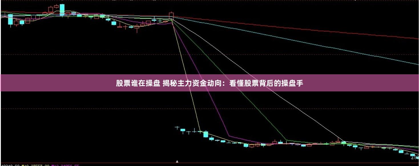 股票谁在操盘 揭秘主力资金动向：看懂股票背后的操盘手