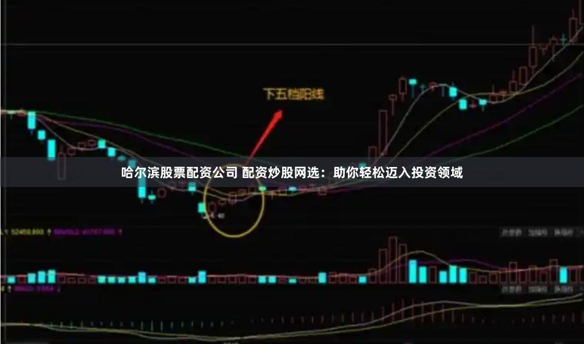 哈尔滨股票配资公司 配资炒股网选：助你轻松迈入投资领域