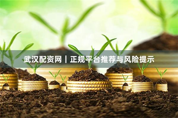 武汉配资网｜正规平台推荐与风险提示